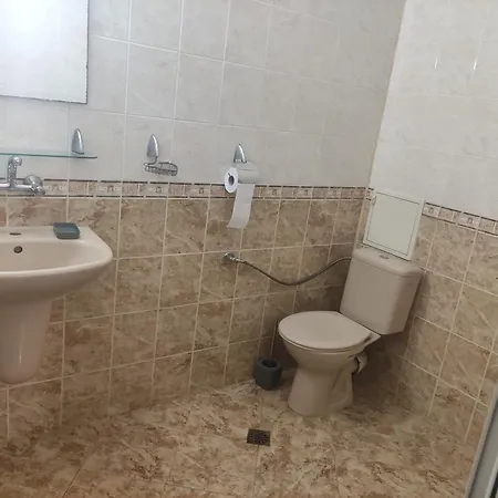 за гости в град ホームステイ